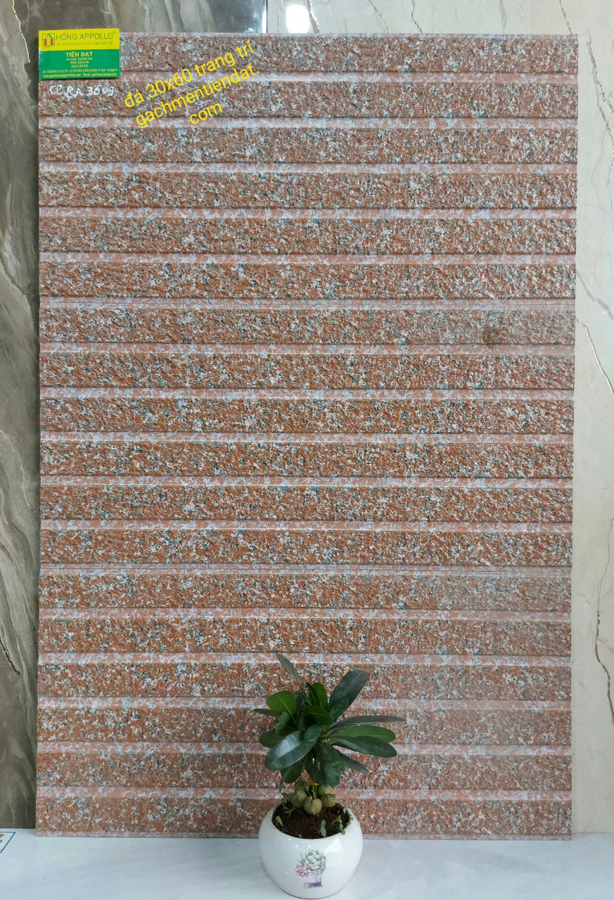 Gạch nhập khẩu 30x60 trang trí