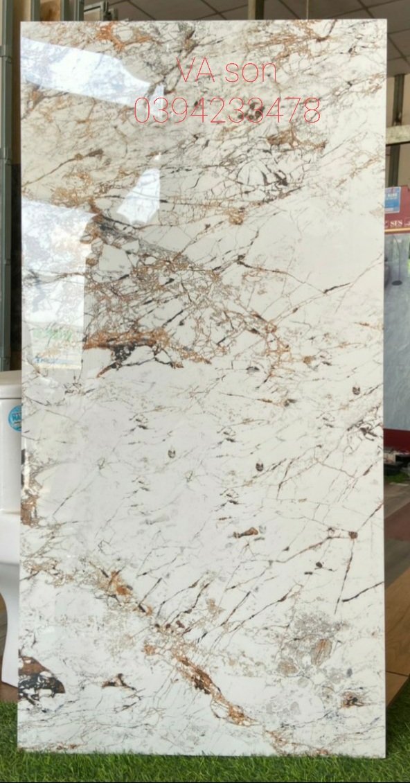 Gạch nhập khâu 60x120 lát nền