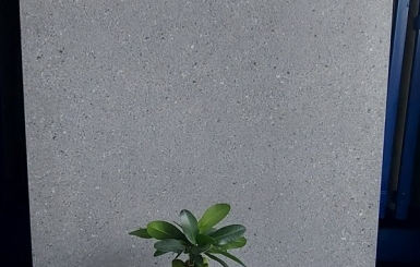 Bạn đã sở hữu cho ngôi nhà mình các mẫu gạch cao cấp Trà Vinh chưa?