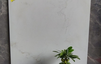 Chiêm ngưỡng bộ sưu tập các mẫu gạch lát nền tại Vĩnh Long