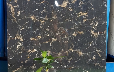 Địa chỉ đại lý gạch cao cấp tại TPHCM lớn và uy tín nhất