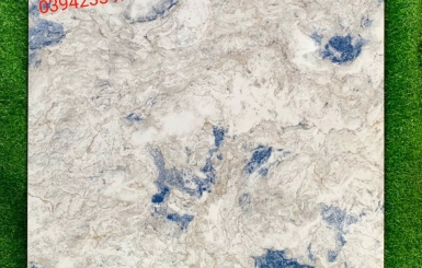 Đừng bỏ lỡ mẫu gạch Trung Quốc cao cấp trang trí không gian