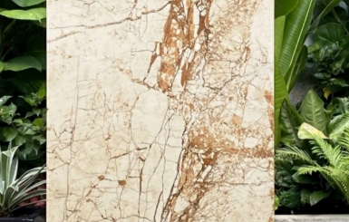 Mách bạn đơn vị phân phối gạch cao cấp giá rẻ tại Hậu Giang