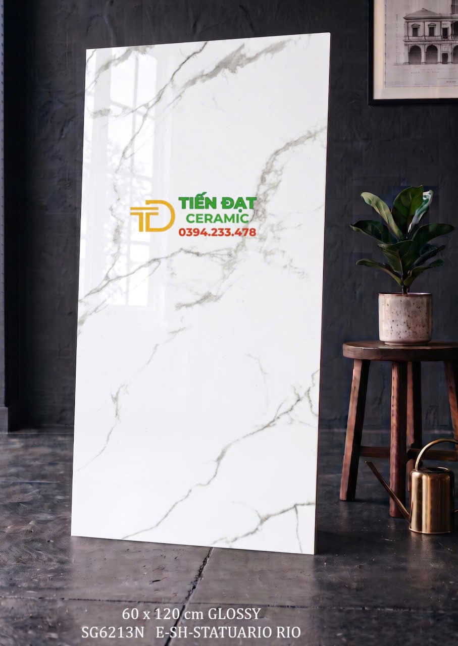 Gạch Bóng Kiếng Ấn Độ 60x120 Trắng Vân Xám Mới Nhất