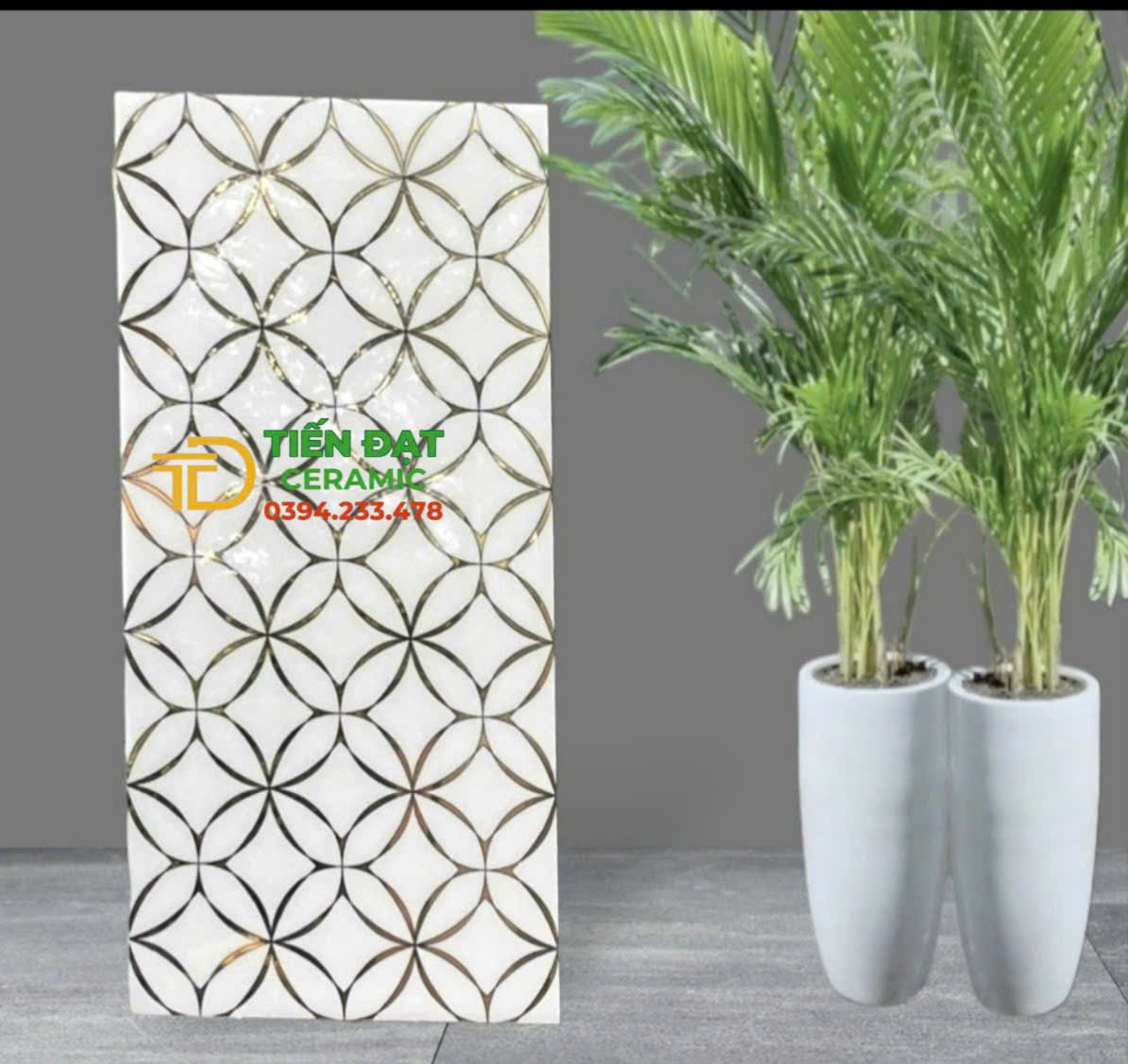 Gạch Cao Cấp TQ 30x60 Khắc Kim Ốp Tường Mẫu Mới