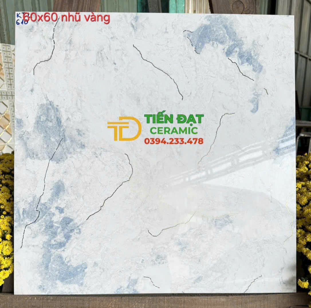 Gạch Cao Cấp TQ 60x60 Khắc Kim Ốp Lát Nhà Hàng  Đại Sảnh