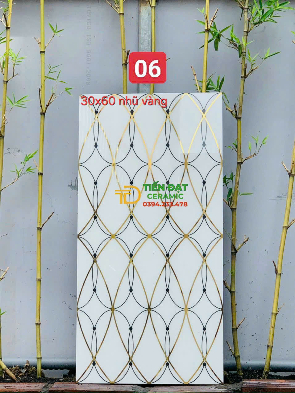 Tổng Kho Gạch Khắc Kim 30x60 TQ Cao Cấp Tại Bình Tân 