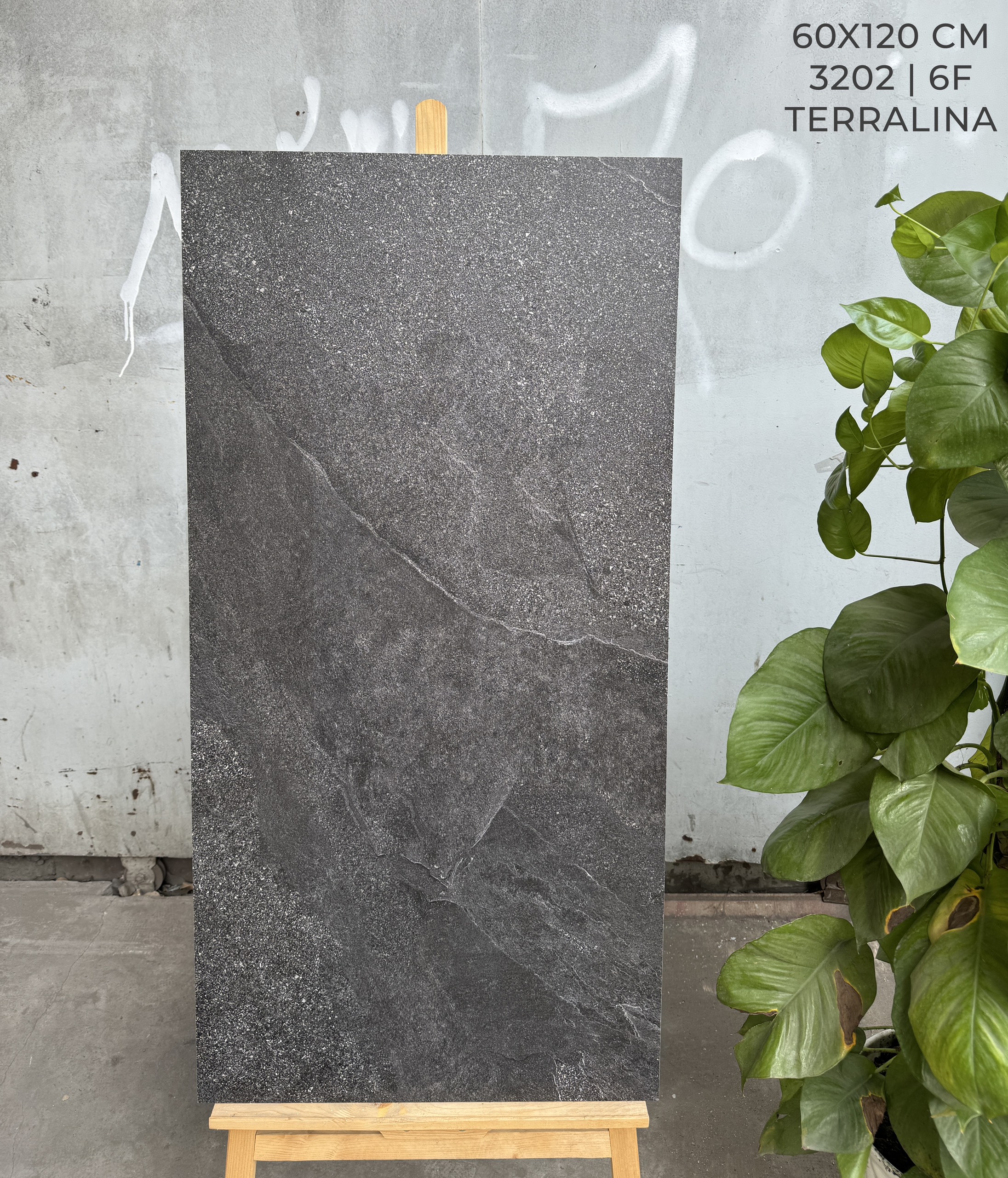 Đá Marble nhập khẩu 60x120 Đá Nhám Mờ Matt 