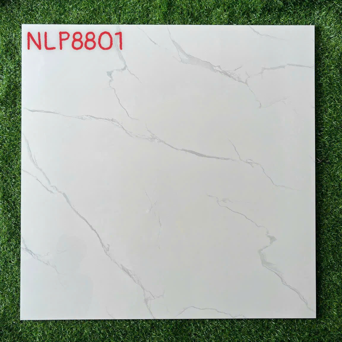 Đại Lý Gạch Ốp Lát 80x80 Hà Thanh Tại Bình Chánh