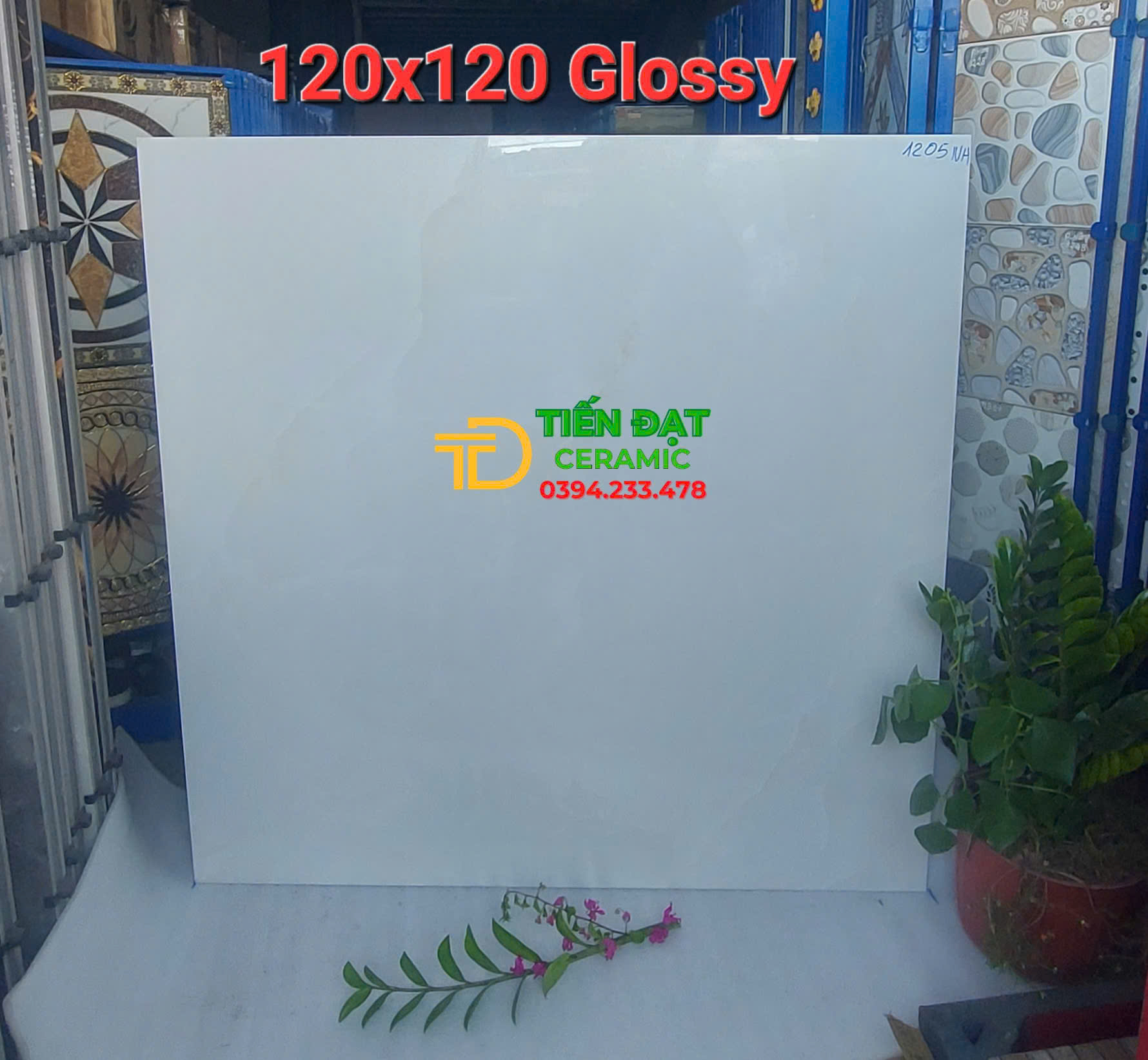 Gạch Khổ Lớn Ốp Tường 120x120 Bóng Kiếng Cao Cấp 