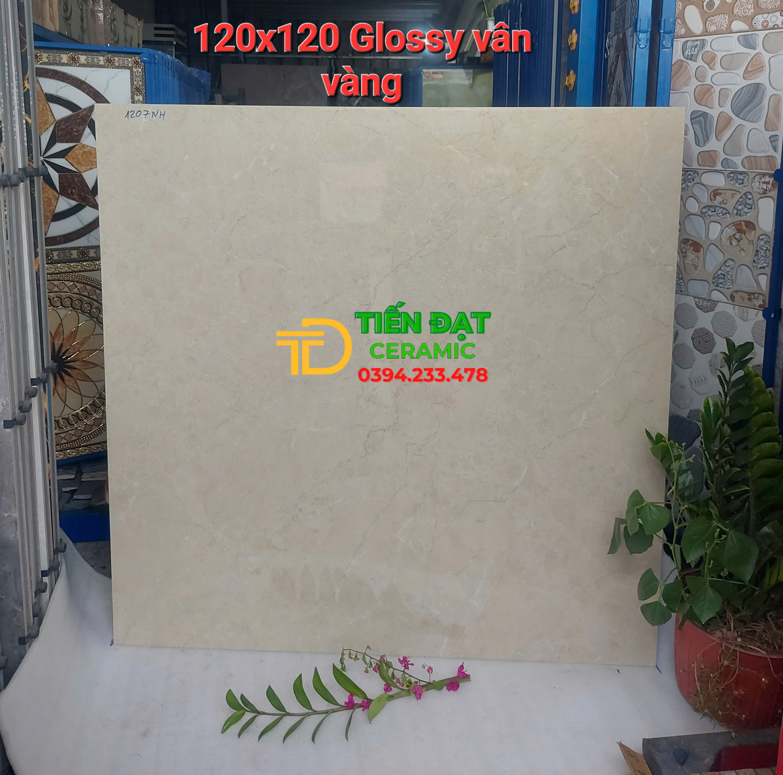 Gạch Lát Nền Phòng Khách 120x120 Vân Vàng Cao Cấp 