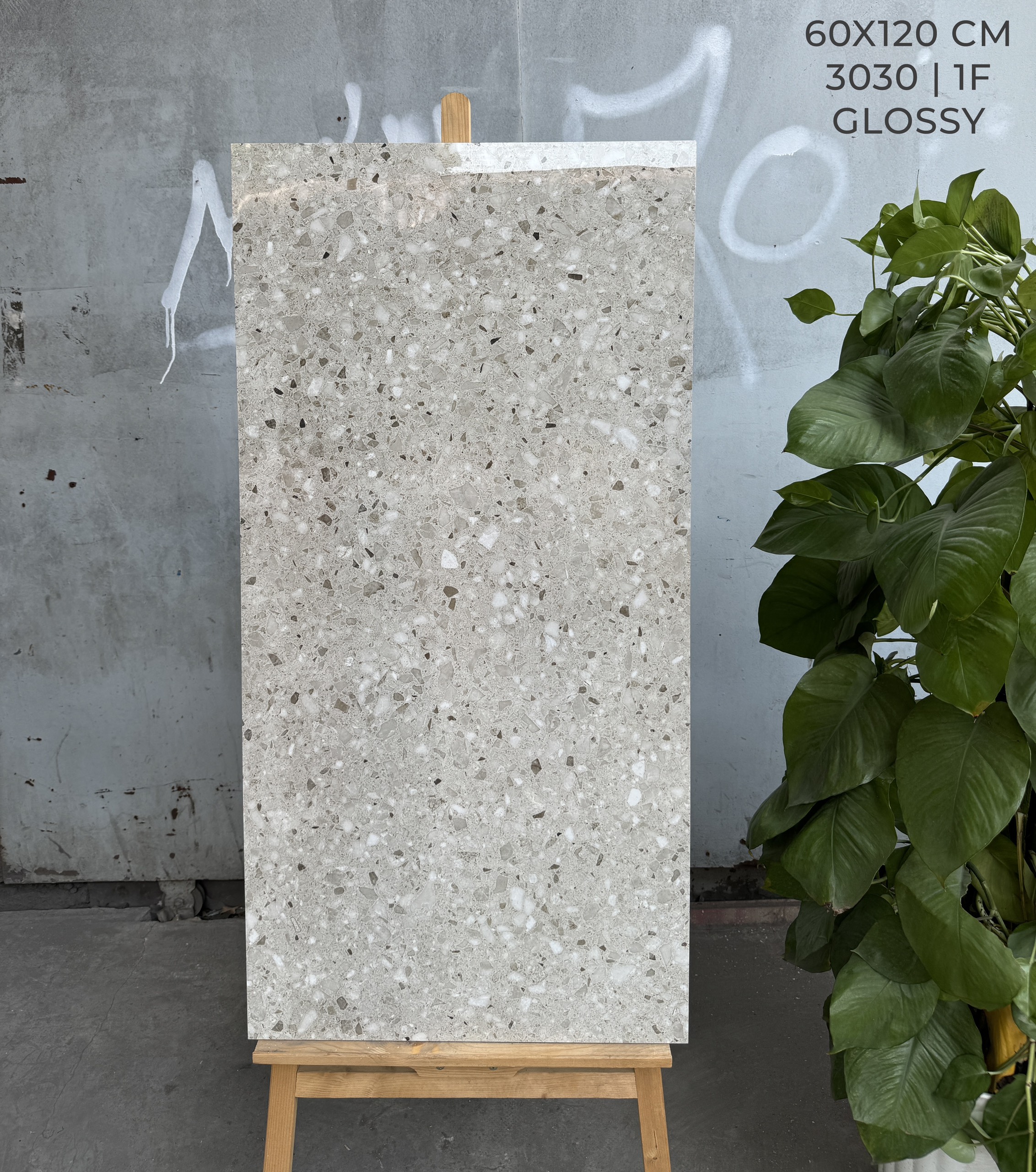 Gạch Ốp Lát 60x120 Cao Cấp TERRAZZO GLOSSY