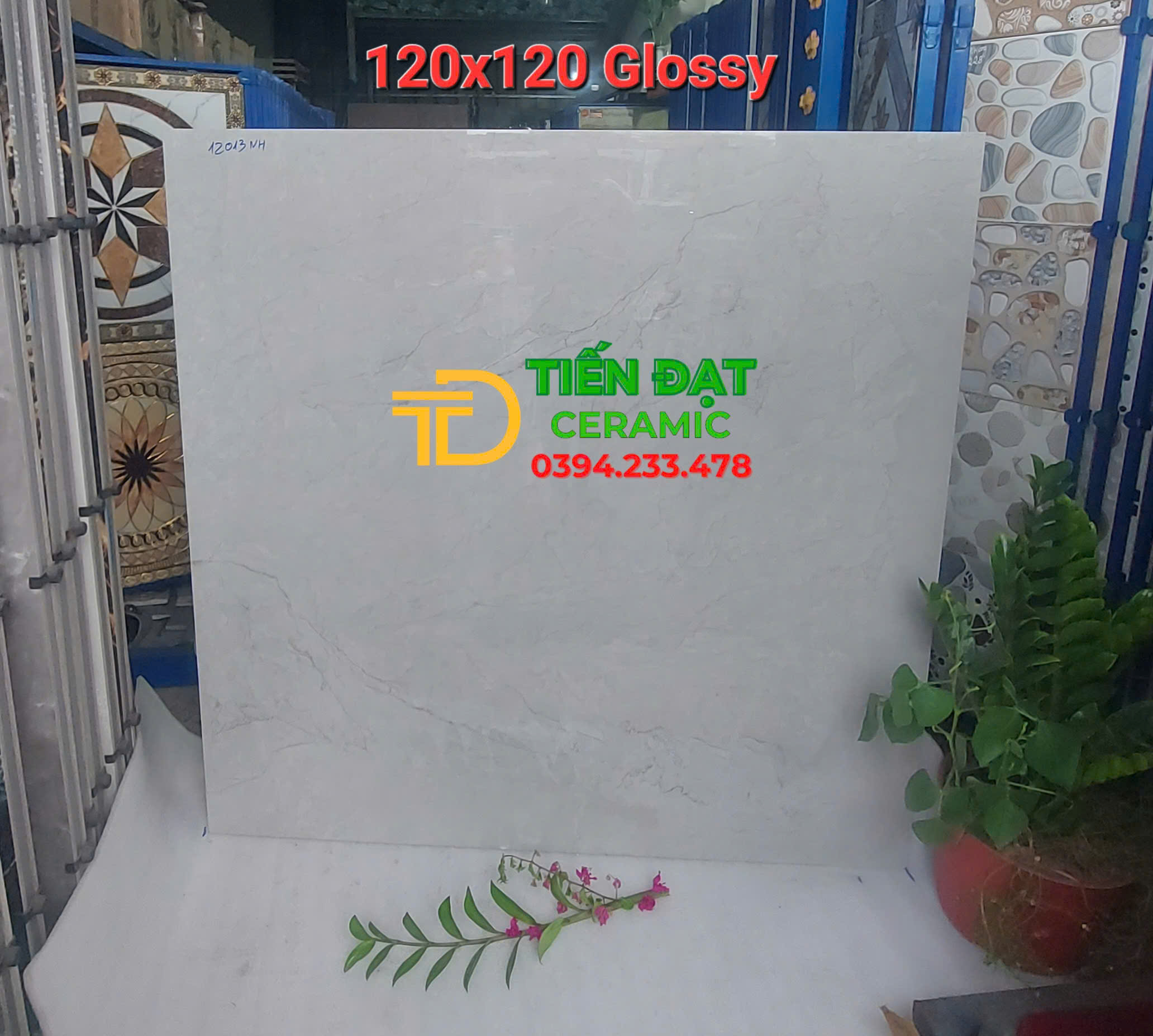 Gạch Ốp Lát Cao Cấp 120x120 Bóng Kiếng Vi Tinh Khổ Lớn