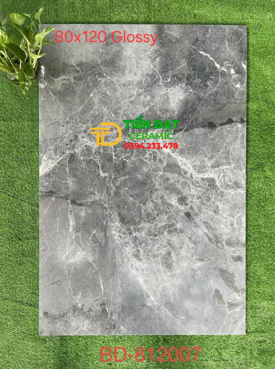 Gạch Ốp Lát Khổ Lớn Tasa 80x120 Bóng Kiếng Kim Cương