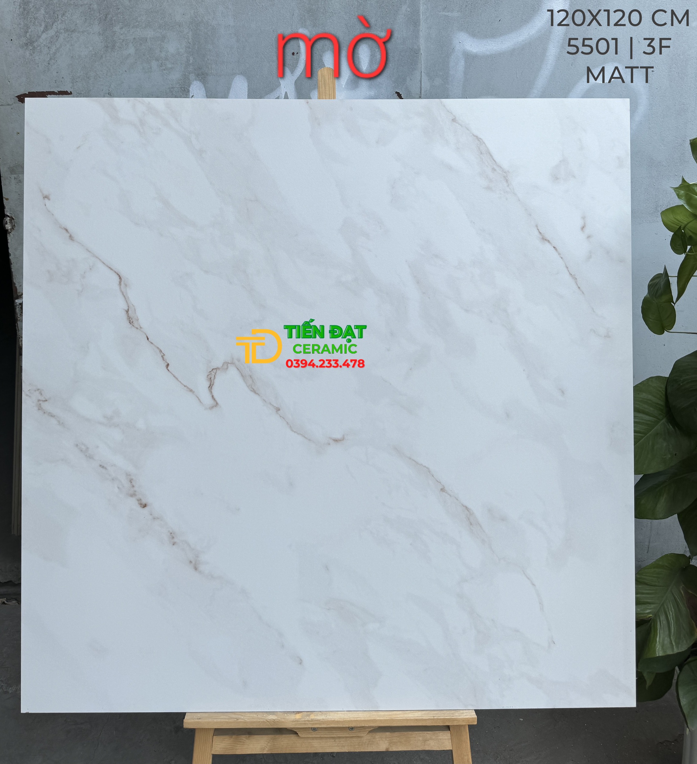 Gạch Ốp Lát Phòng Khách 120x120 Vân Đá Marble Cao Cấp