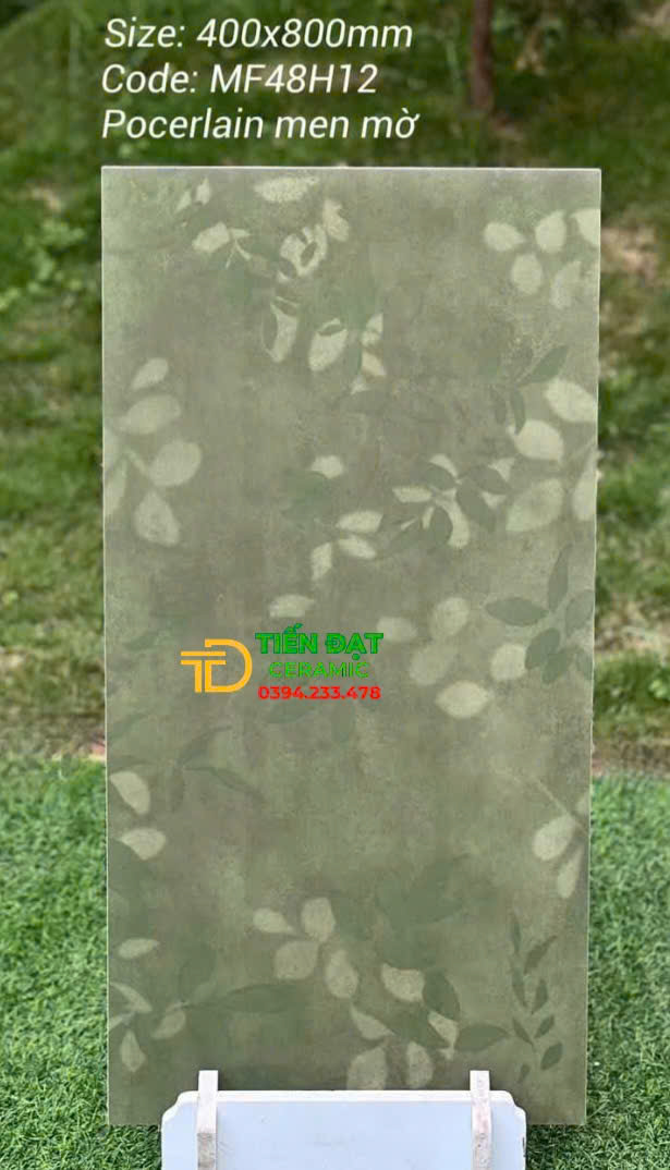 Gạch Ốp Lát Trang Trí 40x80 Hoa Văn Nhập Khẩu TQ 