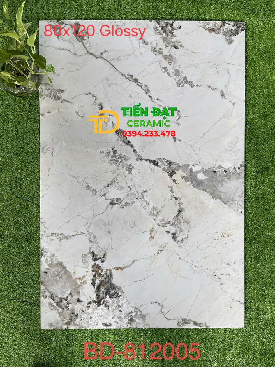 Gạch Tasa 80x120 Trắng Vân Xám Ốp Tường Sang Chảnh