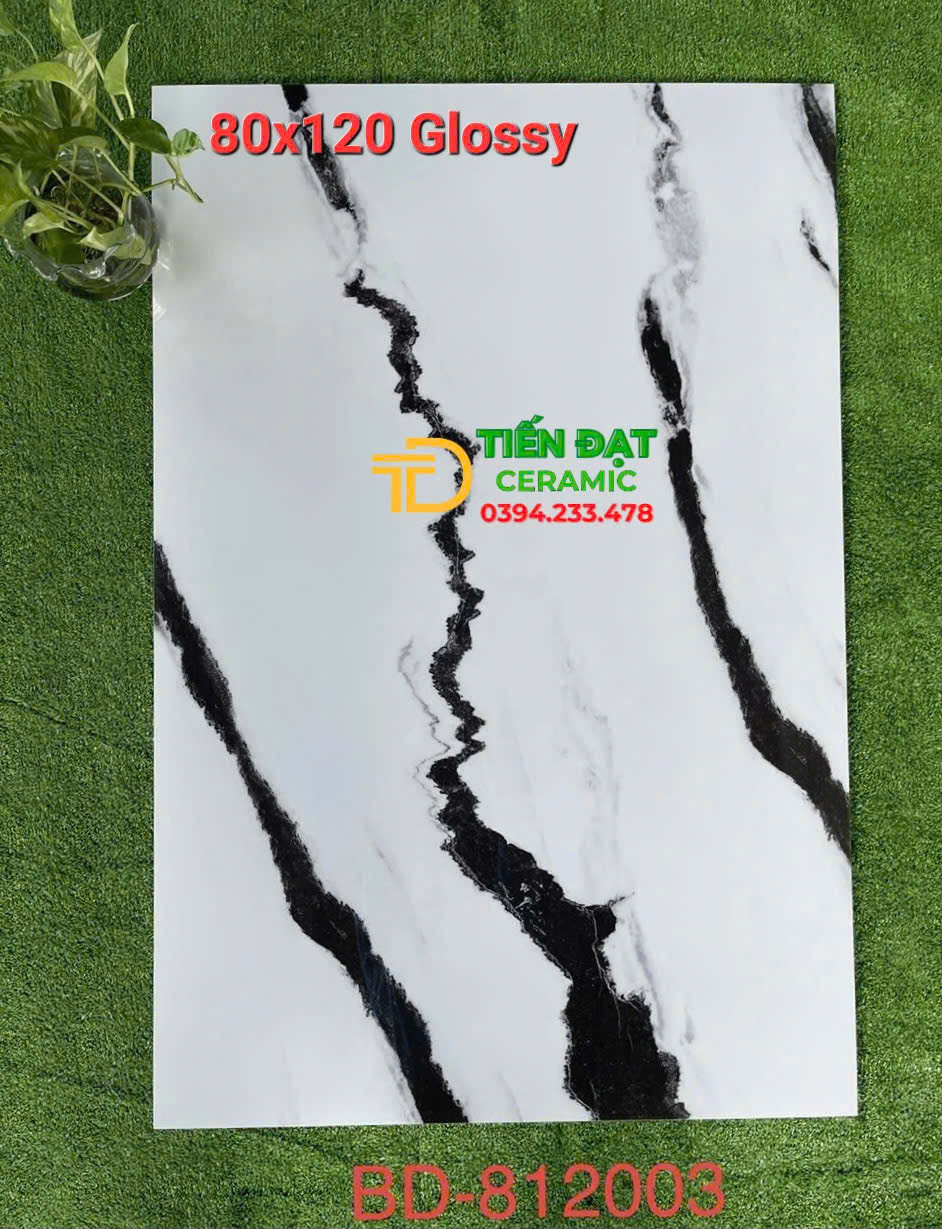 Kho Gạch Tasa Bóng Kiếng 80x120 Trắng Vân Đen Tại Q7