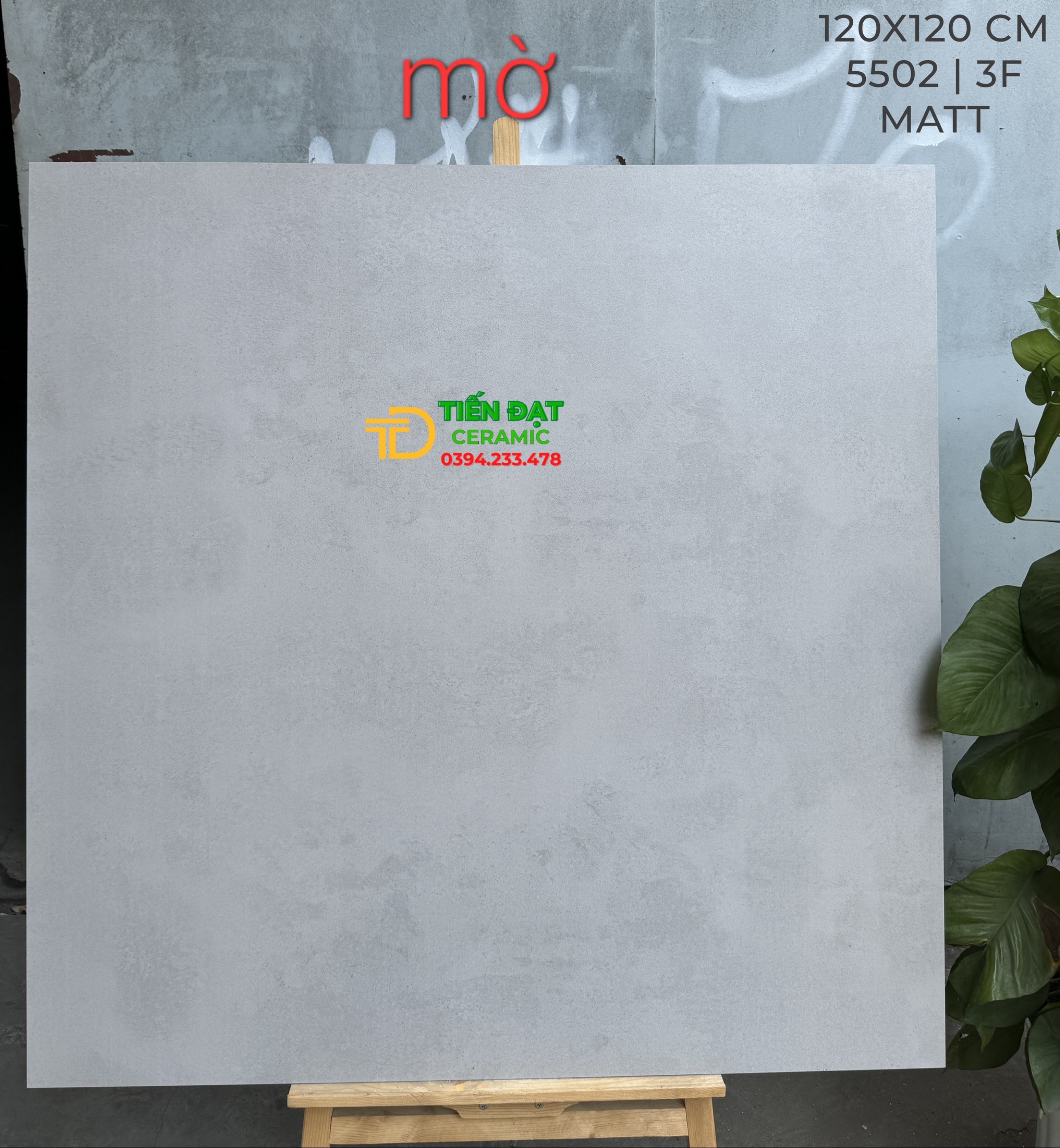 Top 356 Gạch Đá Mờ Matt 120x120 Khổ Lớn Giá Rẻ Nhất HCM