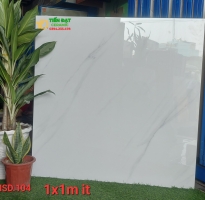 Tổng Đại Lý Gạch Ốp Lát CMC 100x100 Bóng Kiếng Trắng Vân