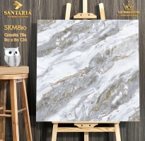 Tổng Kho Gạch Ốp Lát Khổ Lớn 80x80 Santaria Nhũ Vàng 