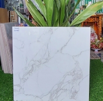 Gạch Cao Cấp 60x60 CMC Lát Nền