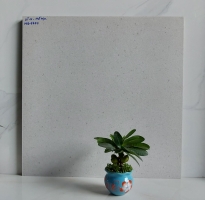 Đá Mờ Mịn Muối Tiêu 60x60 Tại Q3