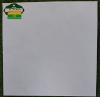 Đá cao cấp 60x60 lát nền giá rẻ TASA 6654