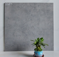 Đá Đồng Chất 60x60 Đá Mờ Granite 