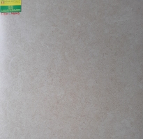 Đá lát nền phòng khách 60x60 sang trọng M6009