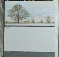 Đá Mờ Cao cẤp 240x60 Ốp Lát HCM