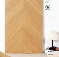 Đá Mờ Matt Sương Cá 60x120 Vân Vàng Lát Nền Cao Cấp TQ