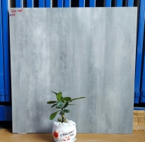 Đá Ốp Lát 60x60 Nhập Khẩu