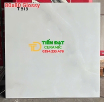 Đá Ốp Lát Bóng Vi Tinh 80x80 Nhập Khẩu Mới Nhất HCM