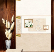 Đại Lý Cung Cấp Gạch Ốp Lát 30x60 Bảo Lộc