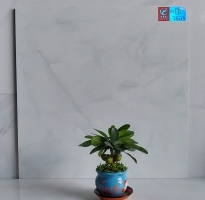 Đại Lý Gạch 60x60 TTC Nguyễn Cửu Phú