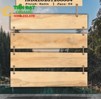 Đại Lý Gạch Ấn Độ 20x120 Lát Nền Giả Gỗ Vân Vàng