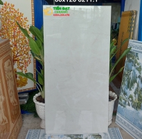 Đại Lý Gạch Ấn Độ 60x120 Ốp Lát Cao Cấp HCM