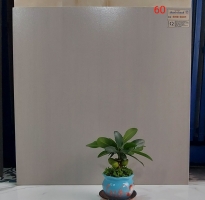 Đại Lý Gạch Đá Mờ Thanh Thanh 60x60 
