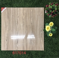 Đại Lý Gạch Gỗ 60x60 Cao Cấp prime 