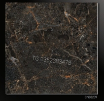 Đại Lý Gạch Ốp Lát 80x80 Bóng Kiếng TTC 