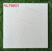 Đại Lý Gạch Ốp Lát 80x80 Hà Thanh Tại Bình Chánh