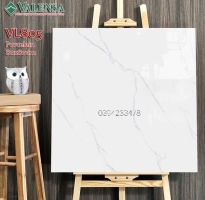 Đại Lý Gạch Ốp Lát 80x80 Tại Quận 2