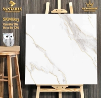 Đại Lý Gạch Ốp Lát Santaria 80x80 Khắc Kim Q7