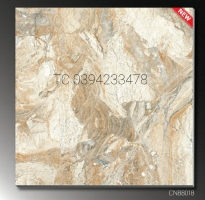 Đại Lý Gạch Ốp TTC 80x80 Chính Hãng