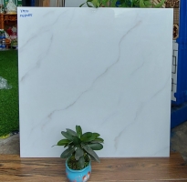 Đại Lý Phân Phối Gạch 60x60 Trắng Vân Khói