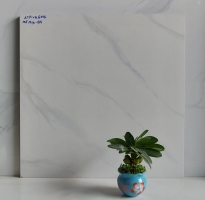 Gạch Viglacera 60x60 Đá Mờ Trắng Vân