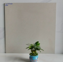 Đại Lý Gạch Apdio 60x60 Đá Mờ Mẫu Mới