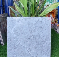Gạch Cao Cấp 60x60 Lát Nền Tại Tiền Giang