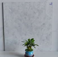 Gạch Trang Trí 60x60 Vân Hoa Mẫu Mới